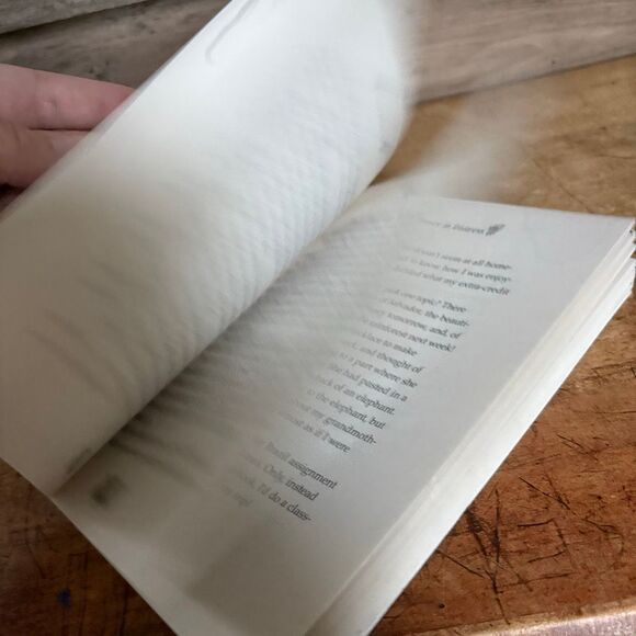 American Girl Lea Dives In Paperback Book by Lisa Yee Good Used Condition - Picture 7 of 8